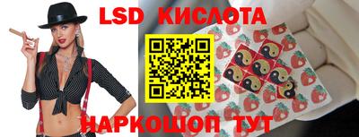 мет Кингисепп