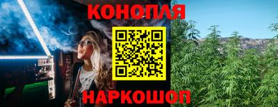 мет Кингисепп