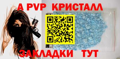 мет Кингисепп
