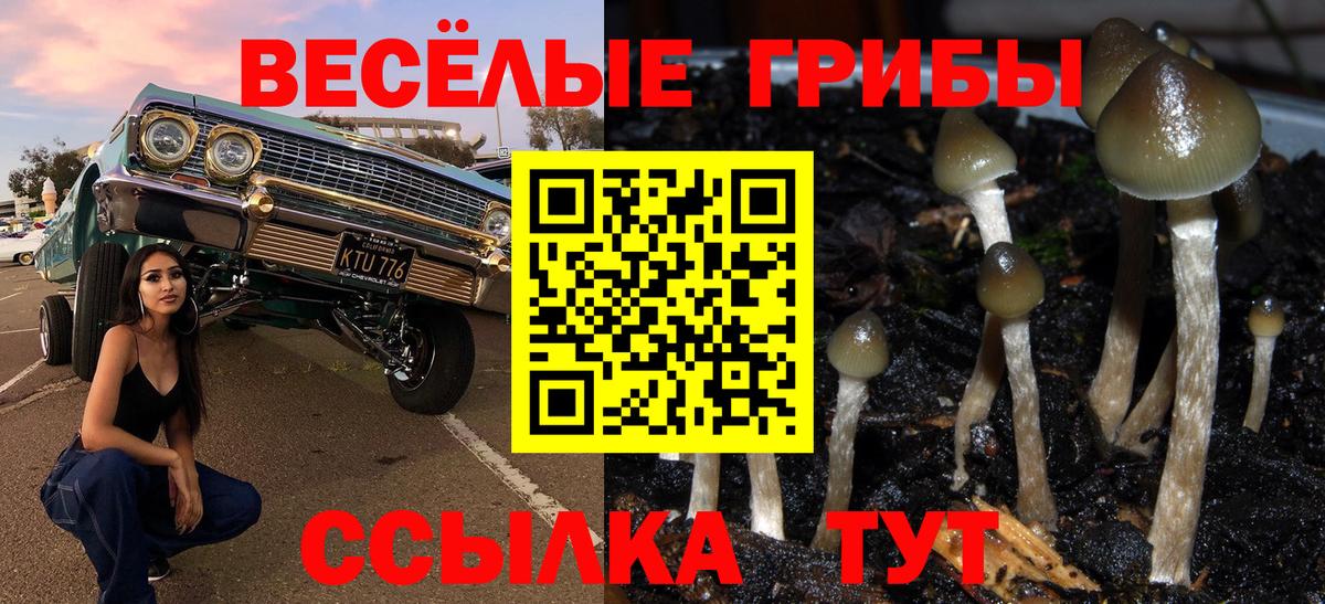 Галлюциногенные грибы прущие грибы  Вход с VPN  Кострома 