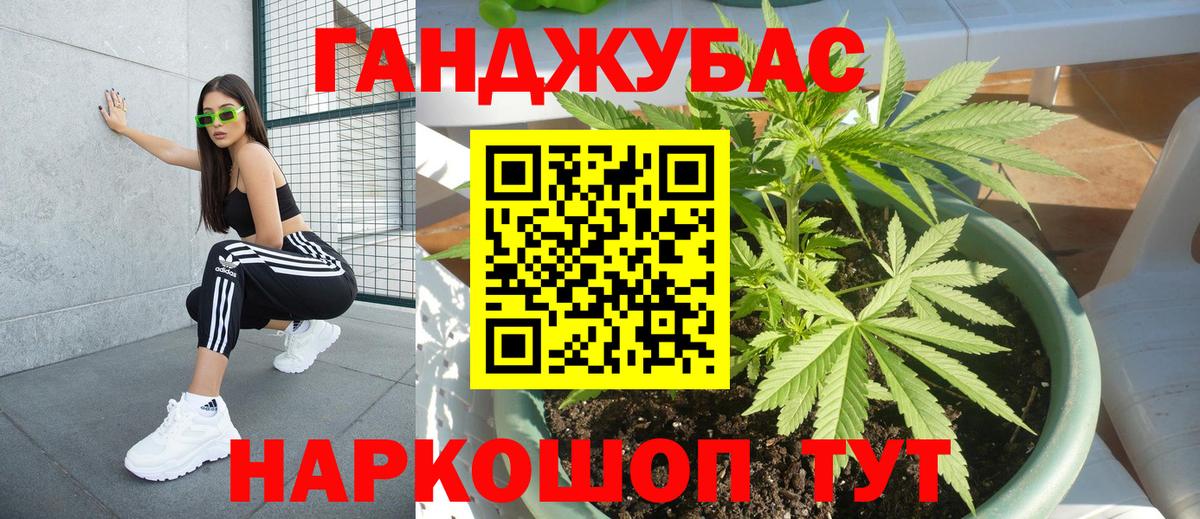 МАРИХУАНА семена Кострома